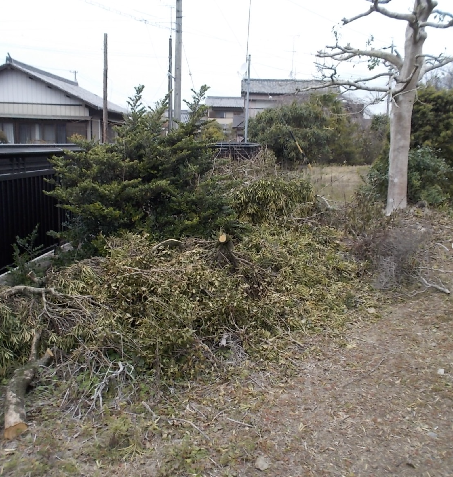 施工前①