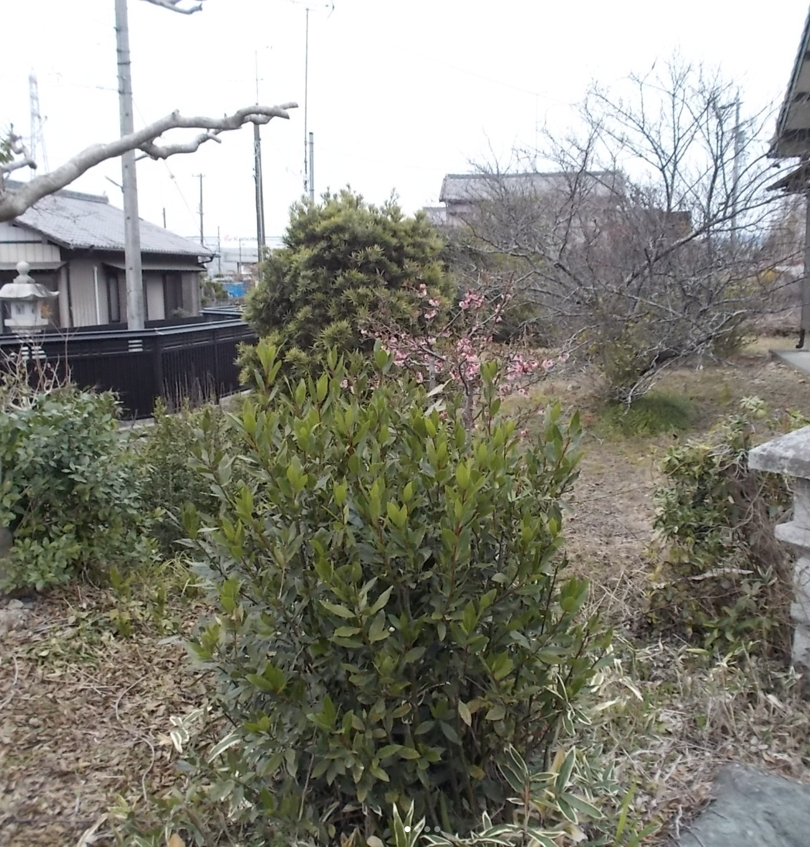 施工前③